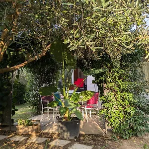 La Maison Sous L'olivier Morieres-les-Avignon